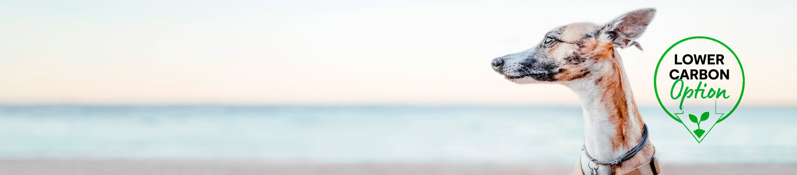 Lower Carbon Options Open Farm Canada