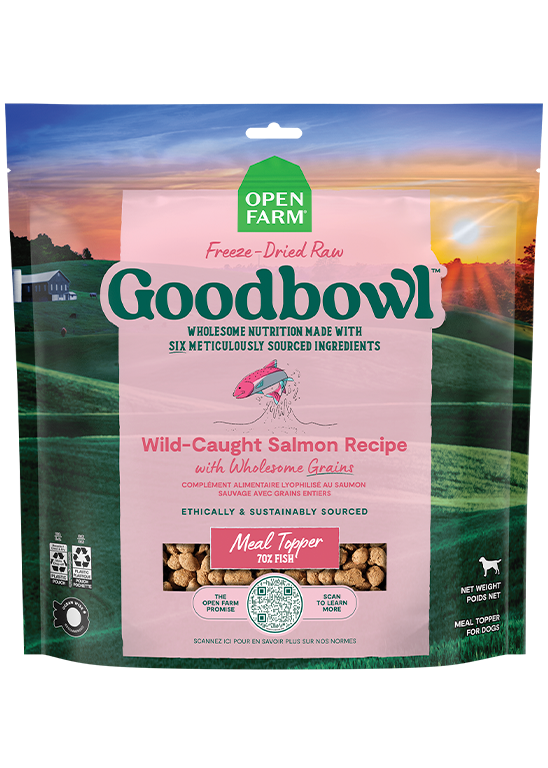 Goodbowl Salmon Freeze Dried Raw Morsels for Dogs Proudly Canadian Dog Food Open Farm
