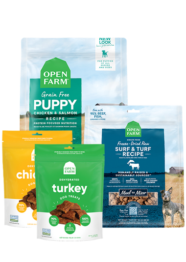 Puppy Essentials Pack