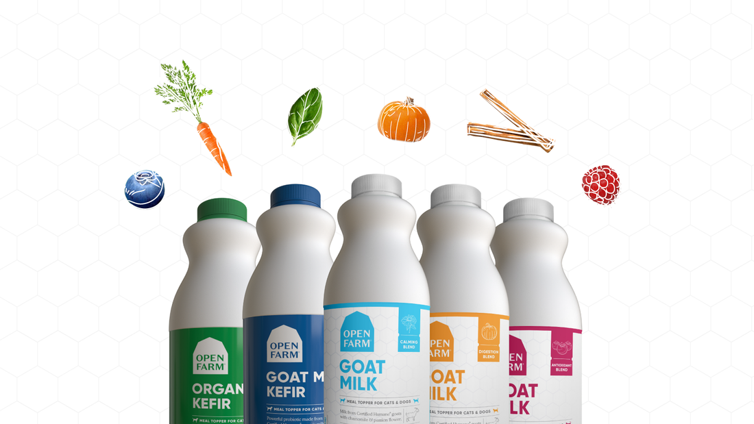 What's the difference between Kefir & Goat Milk for pets?