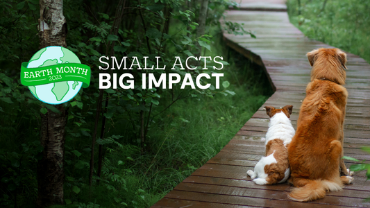 Small Acts, Big Impact