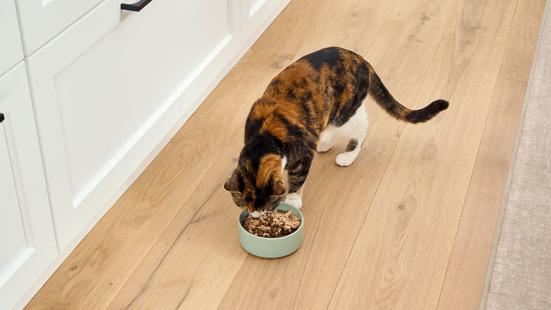 A black and orange cat is eating from their green food bowl.