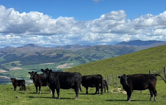 Small Changes, Big Impact: A Closer Look at Regenerative Agriculture