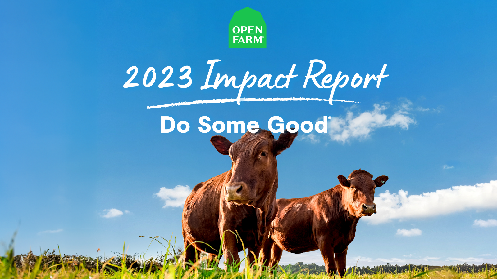Open Farms Annual Impact Report 2023 – Open Farm - Canada