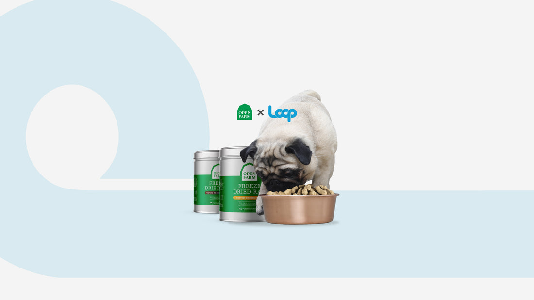 Our Closed Loop Terracycle Recycling Program | Open Farm – Open Farm ...
