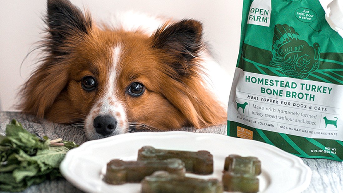 Open Farm Bone Broth Treats For Dogs