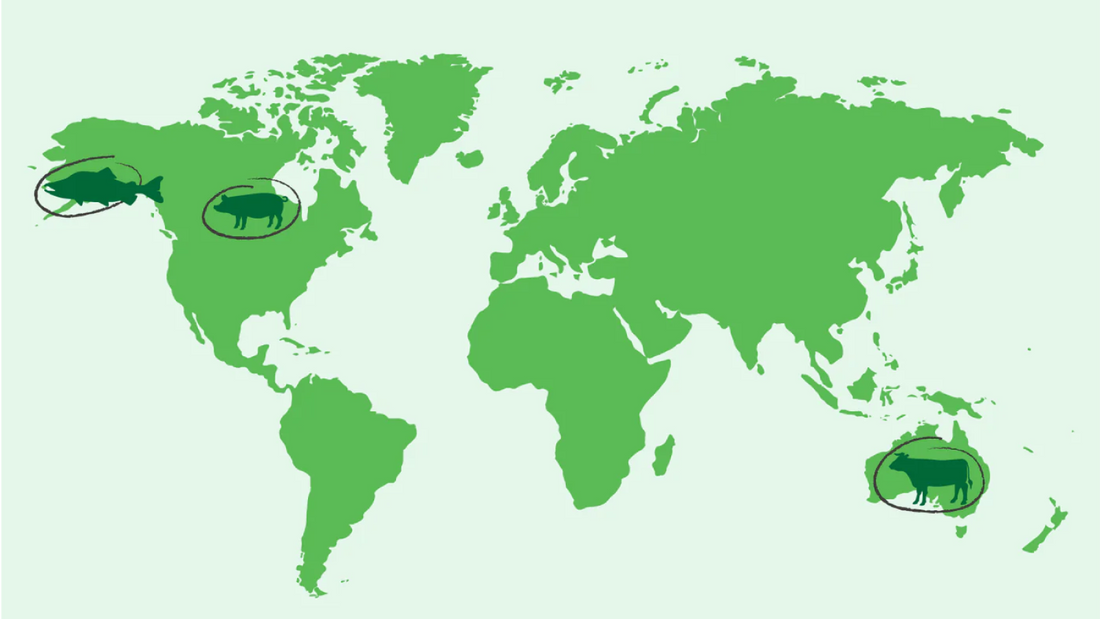 What Transparency Means at Open Farm