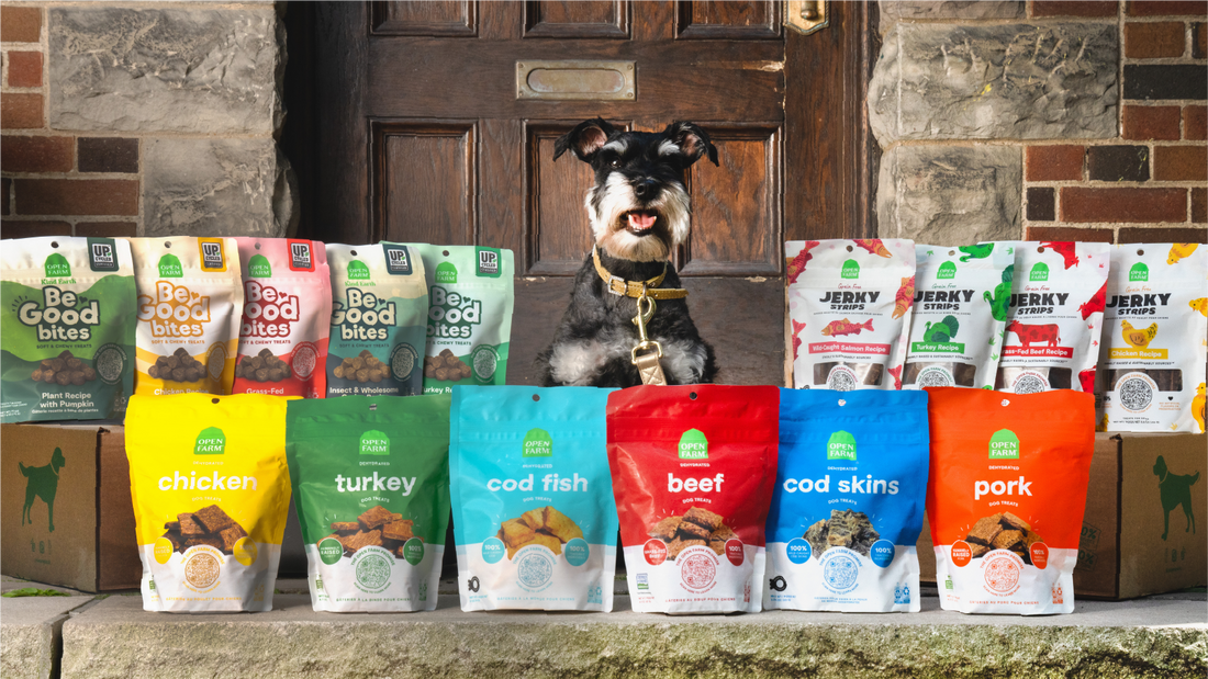 Dog food and treats best sale