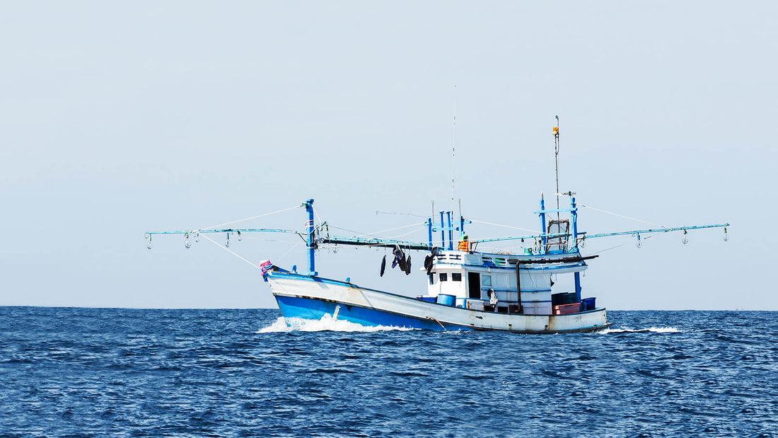 5 Big Issues in the Fishing Industry and How You Can Help