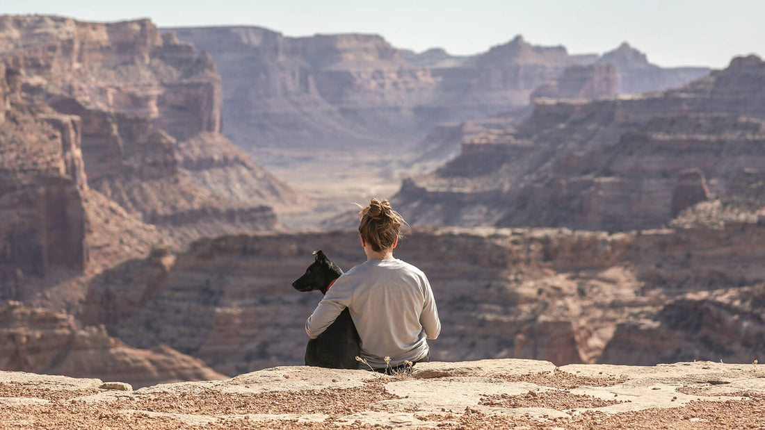 How Dogs Teach Us About Resilience