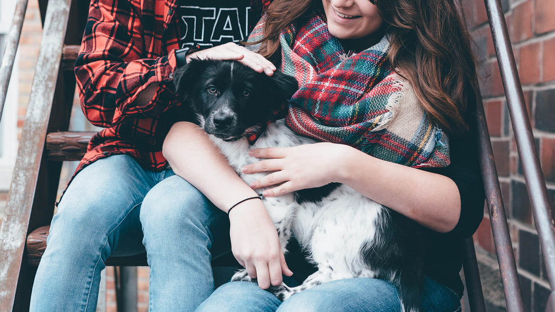 Open Farm Helping Local Animal Shelters