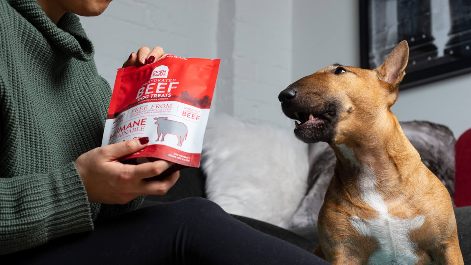Clear dog treats coupon sale
