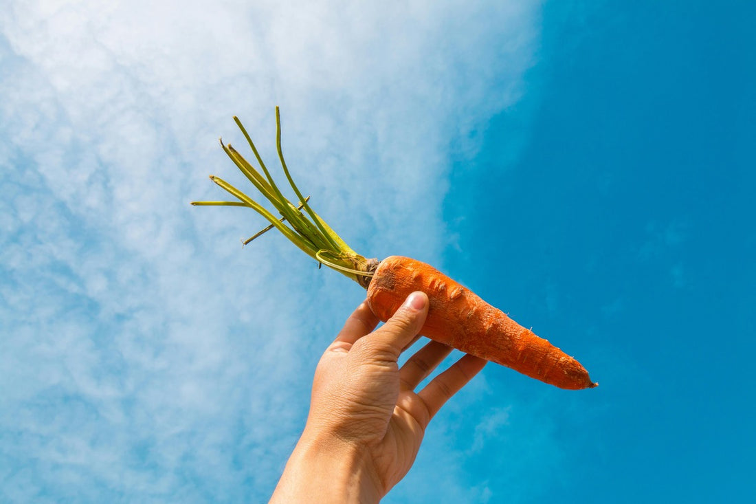 hand holding a carrot towards the sky