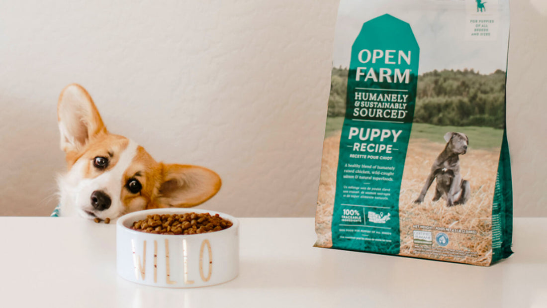 Open Farm Healthiest Puppy Food