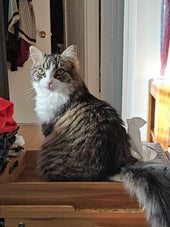 George