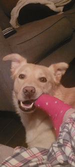 Toby