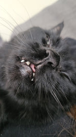 Binx
