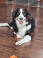 Dora