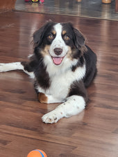 Dora