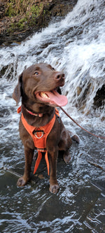 Stryker
