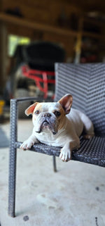 Hank
