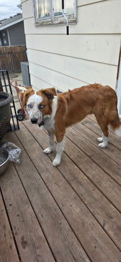 Tucker