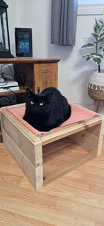 Onyx 