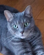 Penelope (Penny)