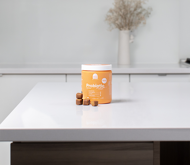 Probiotic Food Supplement Chews for Dogs