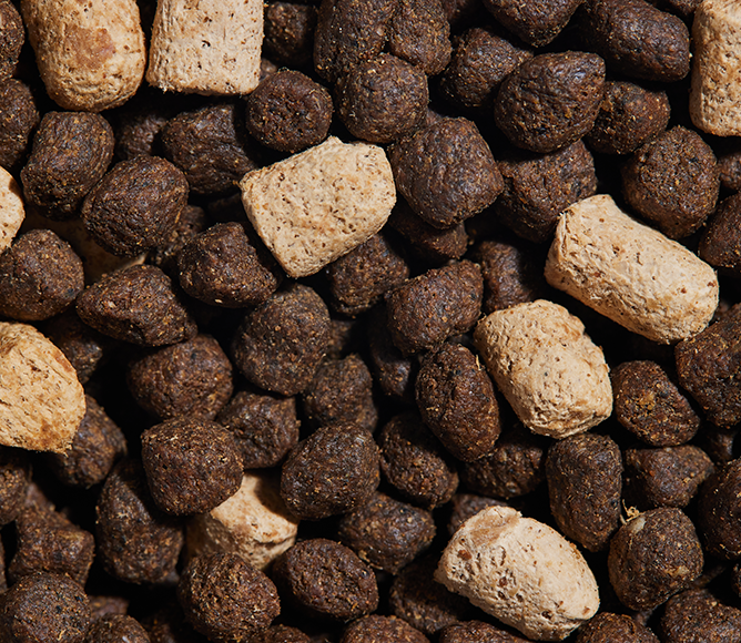 RawMix Great Plains Grain-Free Dog Kibble – Open Farm - Canada