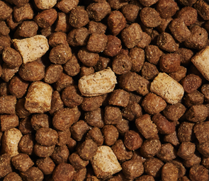 RawMix Grain-Free Puppy Kibble