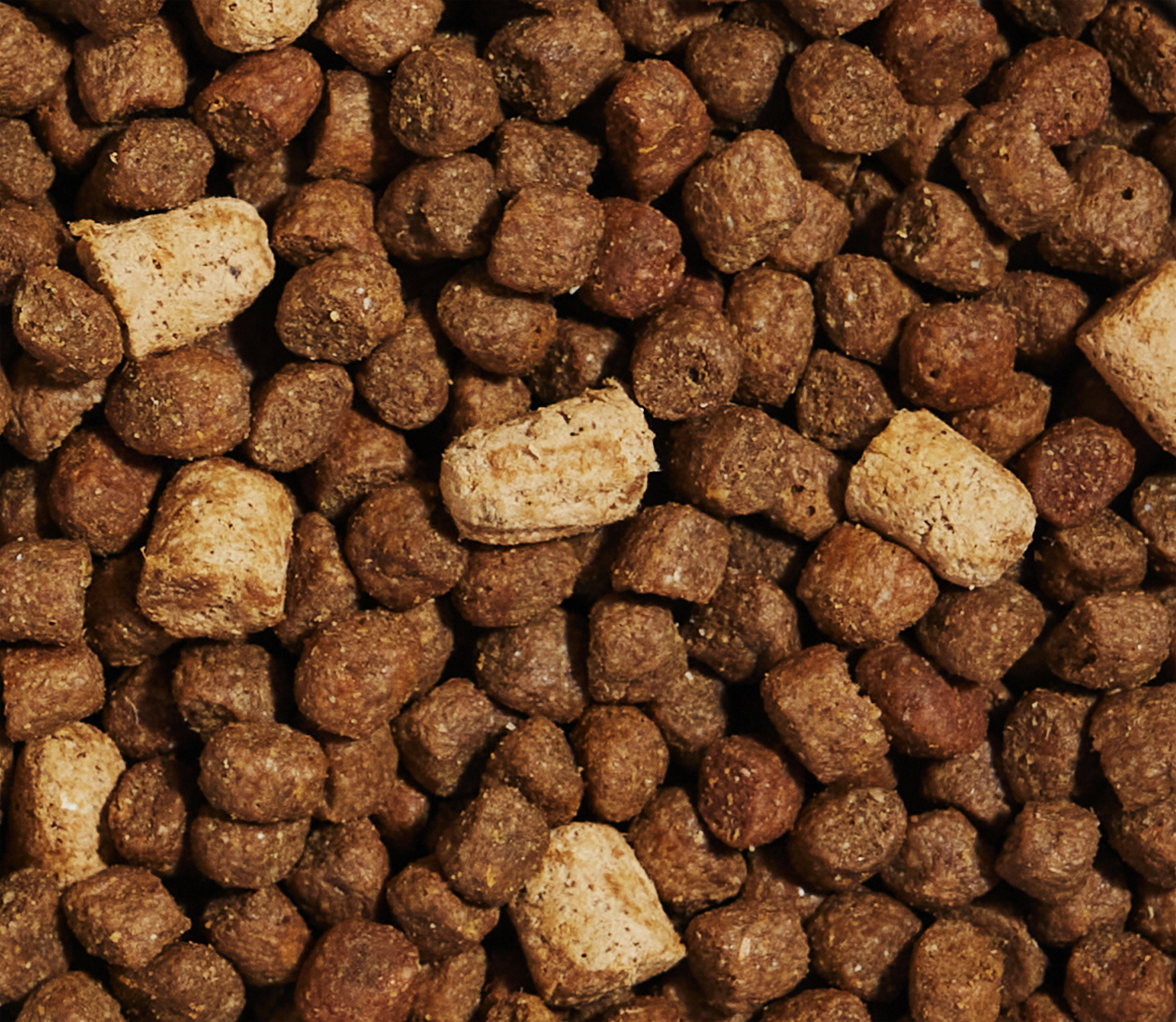 RawMix Grain-Free Puppy Kibble