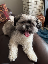 Milo