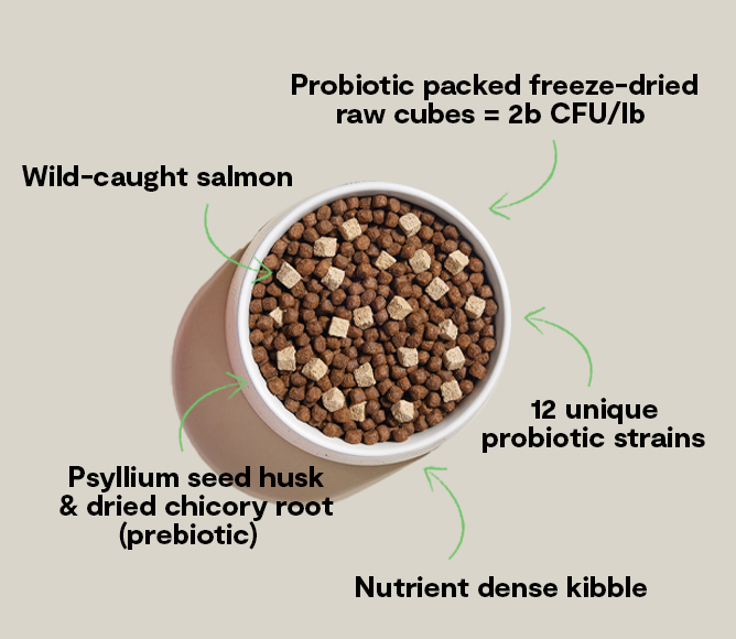 GoodGut Wild Caught Salmon Dog Kibble