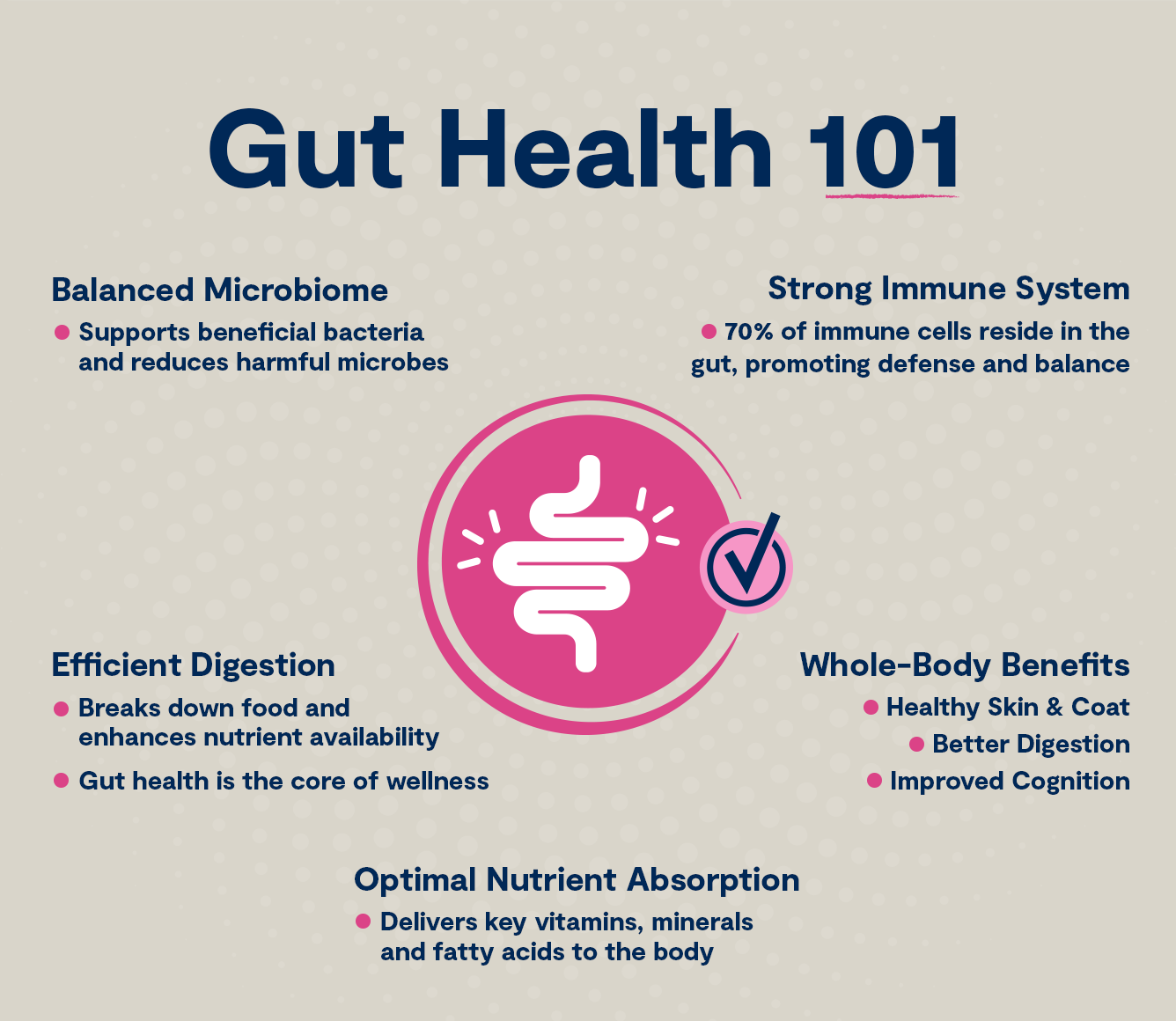 GoodGut Wild Caught Salmon Dog Kibble