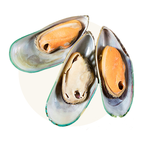 Green lipped mussels