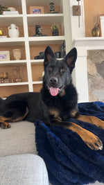 Bruce