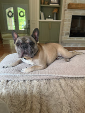 Zeke 