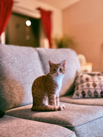Cheeto