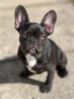 Alfie