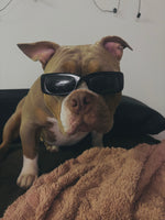 Bowser