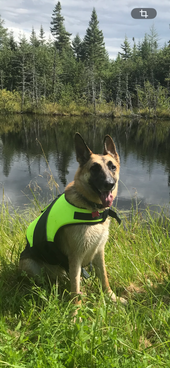 Nova