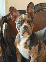 Opie