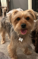 Stella