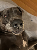 Walter