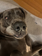 Walter