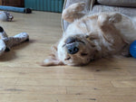 Winnie