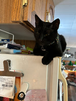 Salem
