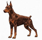 Draego