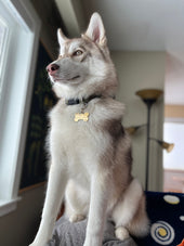Timber